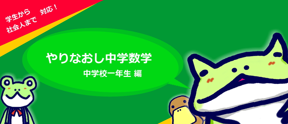 やりなおし中学数学 中学校一年生